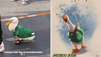 La peculiar historia de Merlín, el Pato mundialista que se hizo viral: cómo surgió, qué come y de dónde es