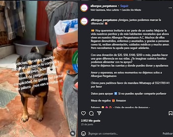 Integrantes del albergue reportan extorsión