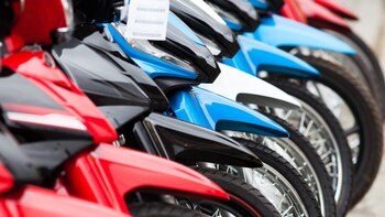 Cuáles son y cuánto cuestan