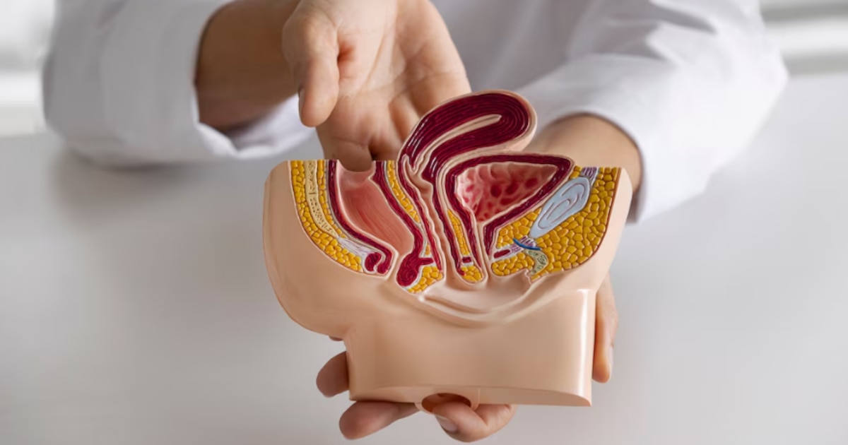 Cáncer testicular: Síntomas clave que no se deben ignorar para una detección temprana