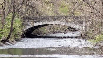 El Bronx River ha sido