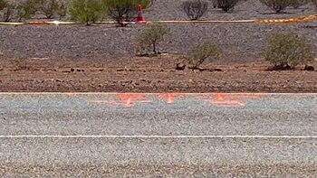 La ubicación donde los expertos