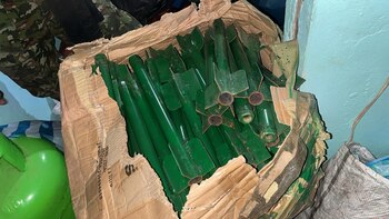 Más de 3.000 tatucos fueron