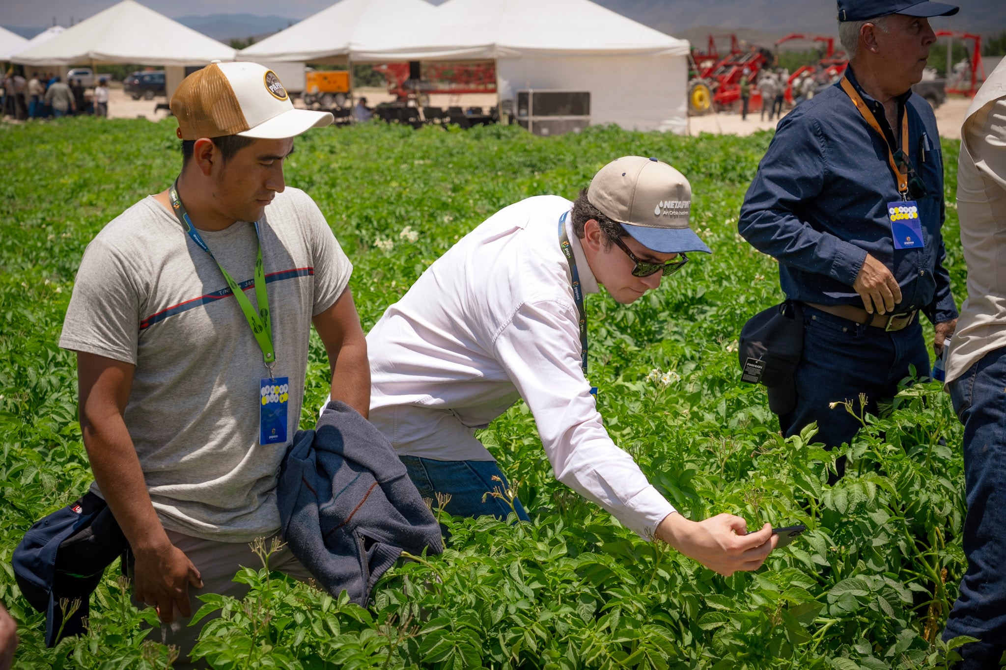 PepsiCo LATAM presentó soluciones tecnológicas para optimizar el manejo de cultivos y el uso eficiente de recursos. Productores latinoamericanos compartieron experiencias sobre agricultura regenerativa durante AgroUniversity LATAM 2026. Participantes del evento exploraron nuevas herramientas para impulsar la sostenibilidad agrícola en la región. La capacitación y la transferencia de conocimiento fortalecen la resiliencia de comunidades rurales latinoamericanas. (Cortesía PepsiCo)