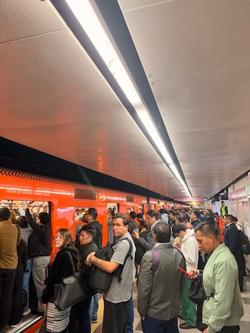 Avance en tiempo real de las diversas líneas de la red de transporte público capitalino.