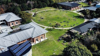 Cómo transformarse en experto en