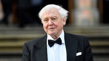 David Attenborough, el gran divulgador de la naturaleza, cumple 100 años