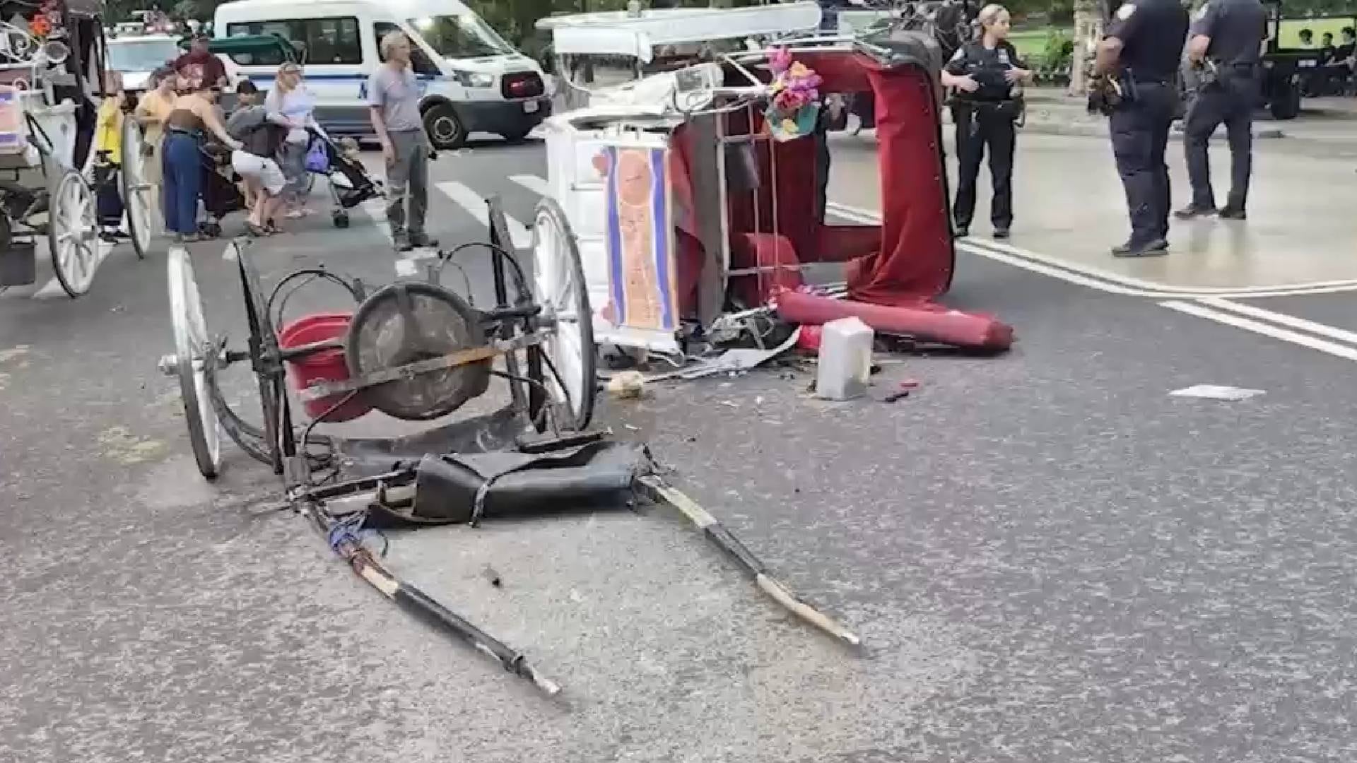 El accidente en Central Park ocurrió cuando el conductor bajó del carruaje para tomar una foto y el caballo se desbocó sin control (ABC7)