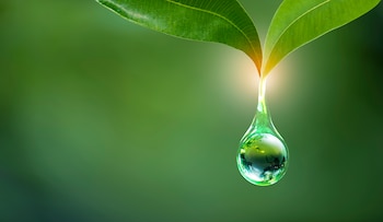 El profesor Dan Yakir sugiere