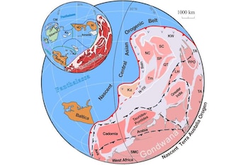 Ilustración circular de un mapa geológico con masas terrestres en color rosa y agua en azul con etiquetas como Gondwana y Baltica