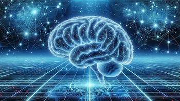 Neuromitos, los 7 conceptos erróneos