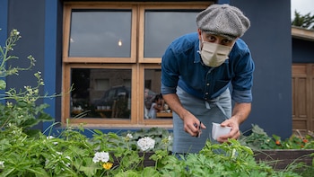 Verano 2021 - Pinamar - Casa Oxalis - Fernando Lococo