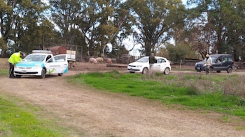 Parte del camino por donde