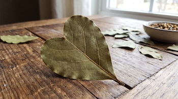 Una hoja de laurel con forma de corazón en el centro de una mesa de madera. Hay hojas dispersas y un cuenco pequeño en el fondo.