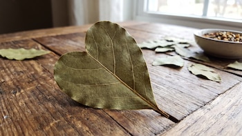 Estos son los beneficios de enterrar hojas de laurel en las macetas de tu casa