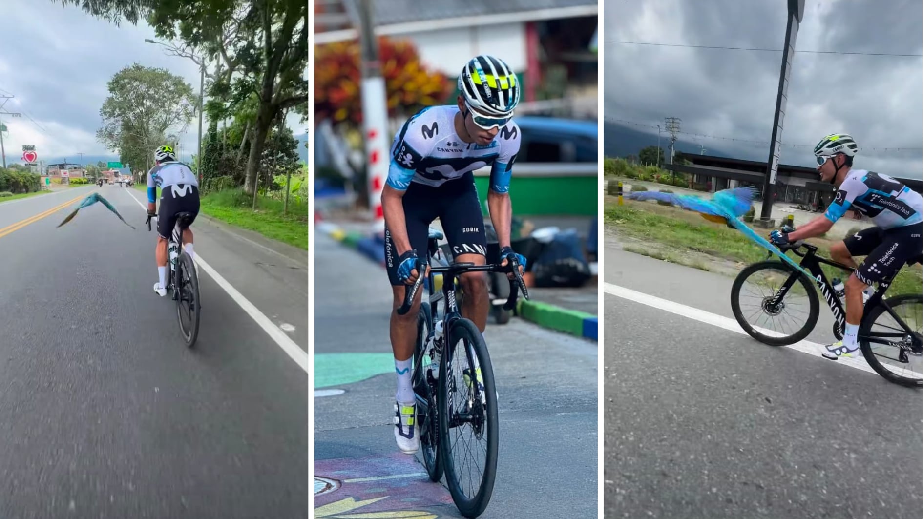 Video viral de ciclista colombiano entrenando junto a una guacamaya sirvió para recordar al fallecido Michele Scarponi: “Reencarnado”
