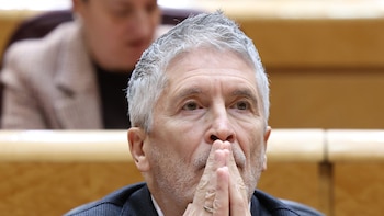 Marlaska comparece esta tarde con