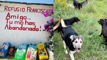 Caso Refugio Franciscano: colectivos se