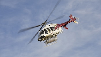 En el área, trabajan tres