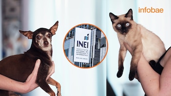 El INEI incluirá por primera