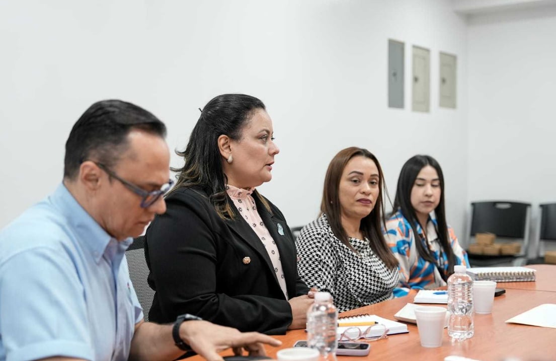 La Comisión de Familia y Niñez convocó a autoridades judiciales y defensores de derechos humanos para analizar las reformas penales juveniles.