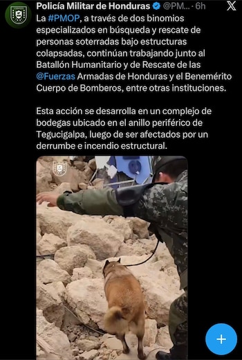 La emergencia mantiene movilizadas a distintas instituciones de socorro. (FOTO: X)