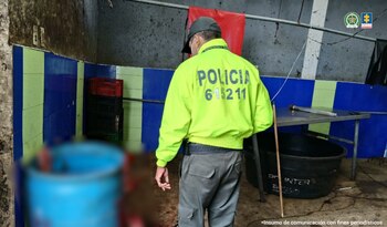 Las autoridades establecieron que los