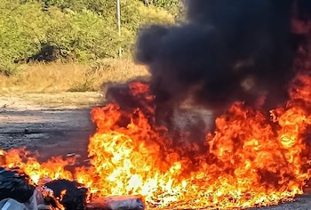 Autoridades destruyen droga incautada mediante