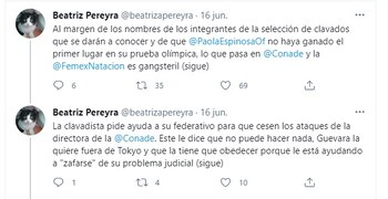 (Foto: Twitter/@beatrizapereyra)