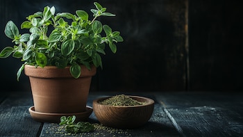El consumo excesivo de aceite