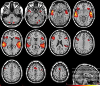 13/02/2020 Proyecto impulsado por el