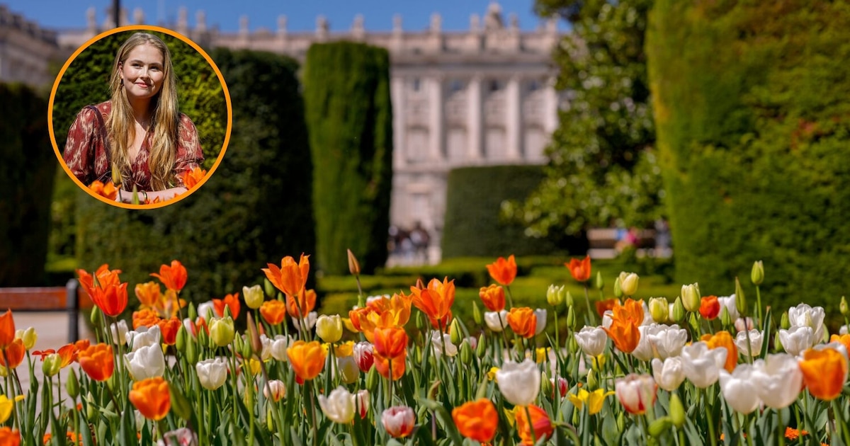 El jardín secreto de tulipanes que Amalia de Holanda regaló a Madrid: junto al Palacio Real y perfecto para visitar en primavera - Infobae
