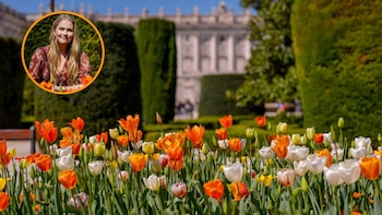 El jardín secreto de tulipanes que Amalia de Holanda regaló a Madrid: junto al Palacio Real y perfecto para la primavera