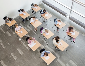 Los investigadores evaluaron a 235