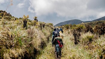‘Voces del río’, el documental