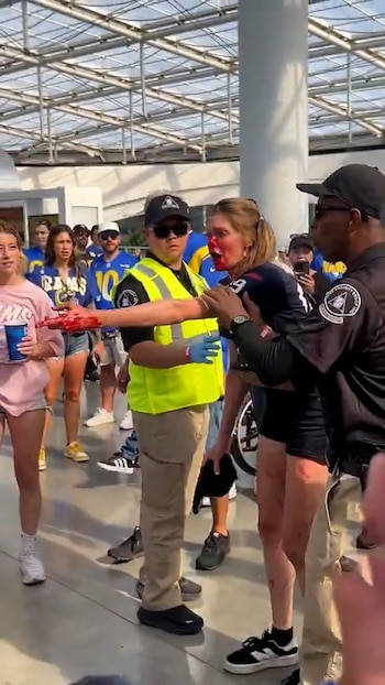 Una aficionada sufrió una terrible golpiza durante un partido de la NFL