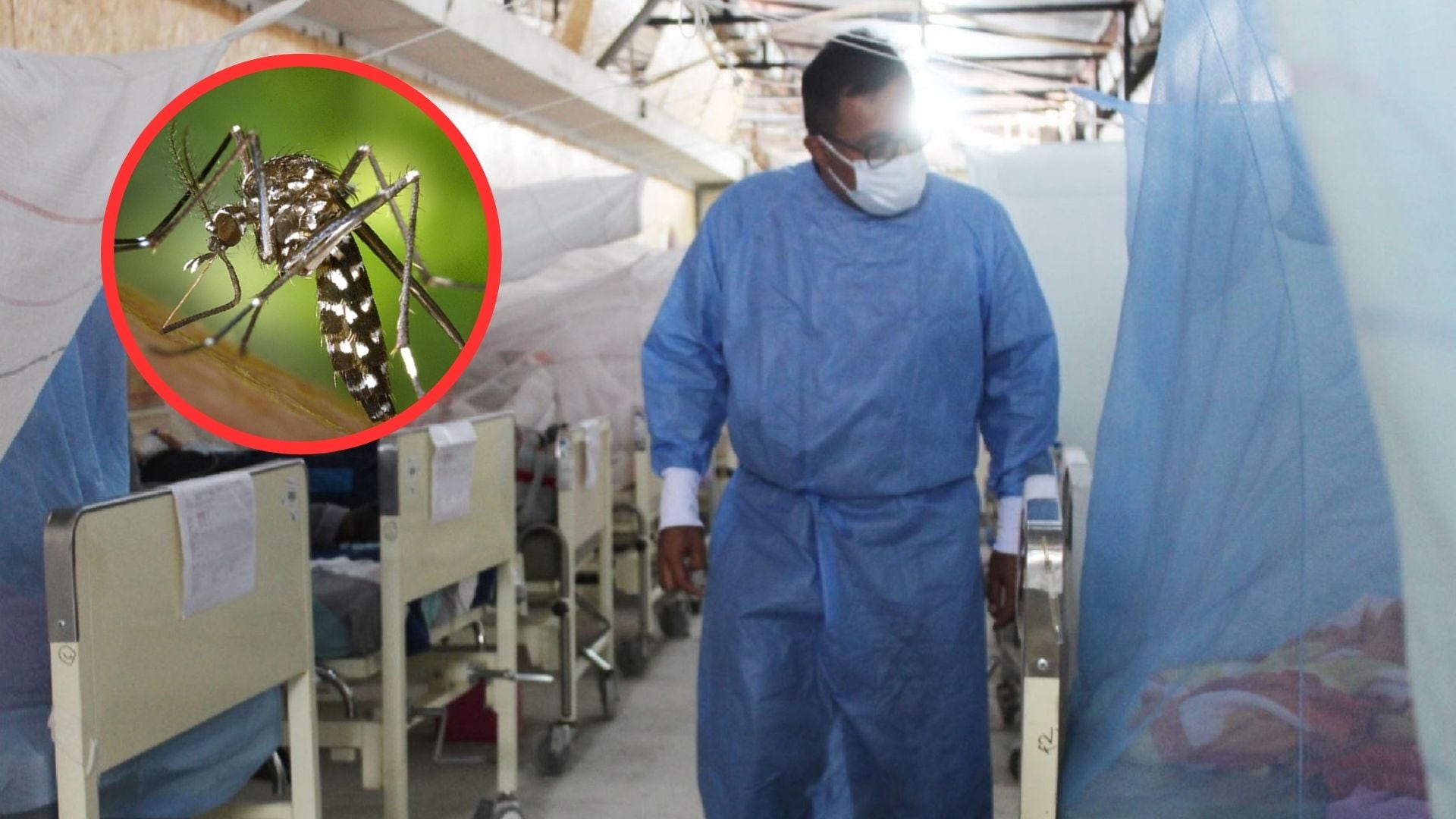 Perú rompe su propio récord de muertes por dengue: en ocho meses del 2026 ya hay más víctimas que en todo el 2025