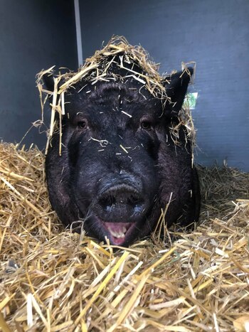 Con el paso del tiempo