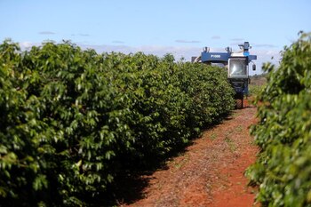 Foto de archivo de una