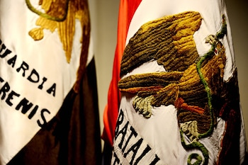 Tras la Independencia, el águila se plasma como un símbolo nacional (Foto Mauricio Marat INAH)