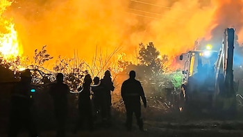 La Intendencia de Maldonado comprará