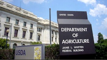 Un informe USDA sin pena