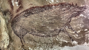 Investigadores revelaron cómo llegaron los