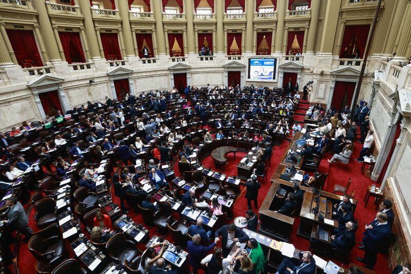 Una delegación de Diputados podría participar del funeral del papa Francisco