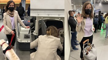 Ingrid Betancourt se fue de