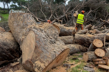El Ayuntamiento de Moguer ha