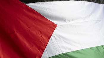 EEUU lamenta la inacción de países aliados y exige medidas contra los integrantes de la flotilla hacia Gaza