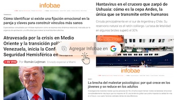 Boton agregar infobae a google