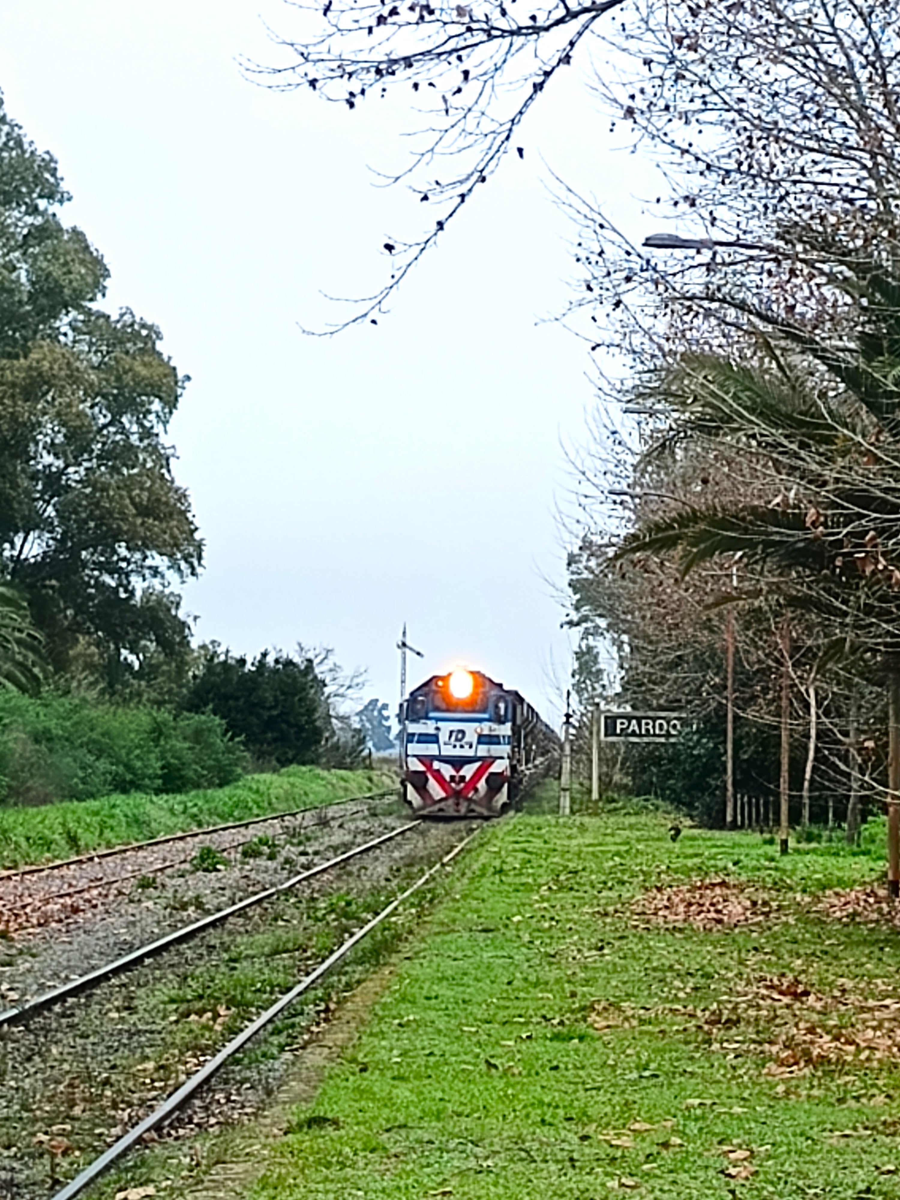 Postales del paisaje rural bonaerense a pocos kilómetros de la Ruta Nacional 3.