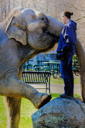 El zoológico Buttonwood Park ha